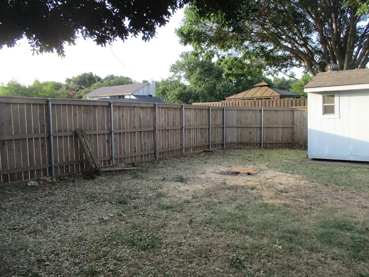 Cleared yard after professional tree removal in Farmersville